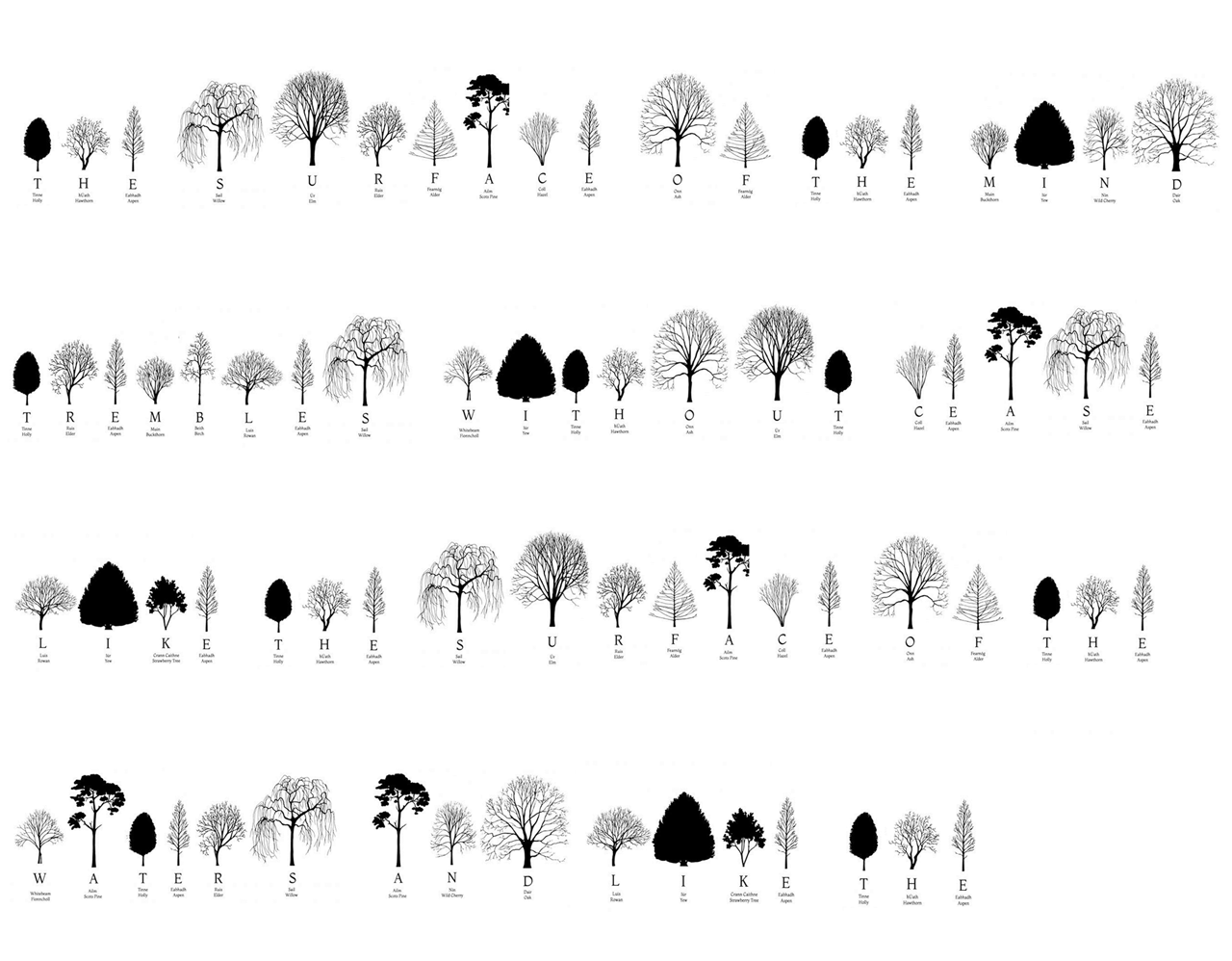 Quote Written in The Irish Tree Alphabet