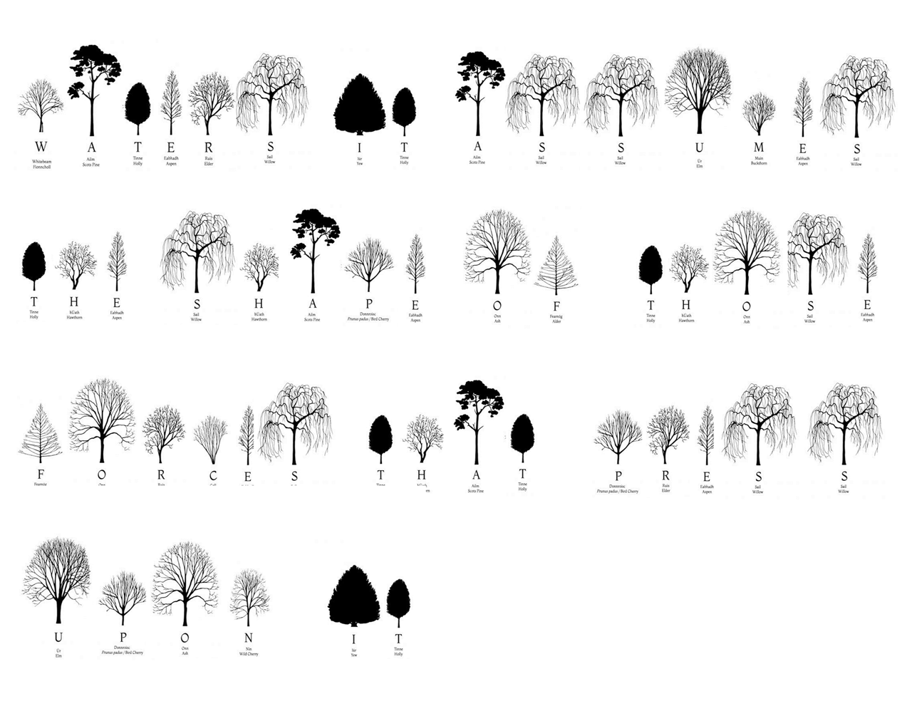 Quote Written In The Irish Tree Alphabet